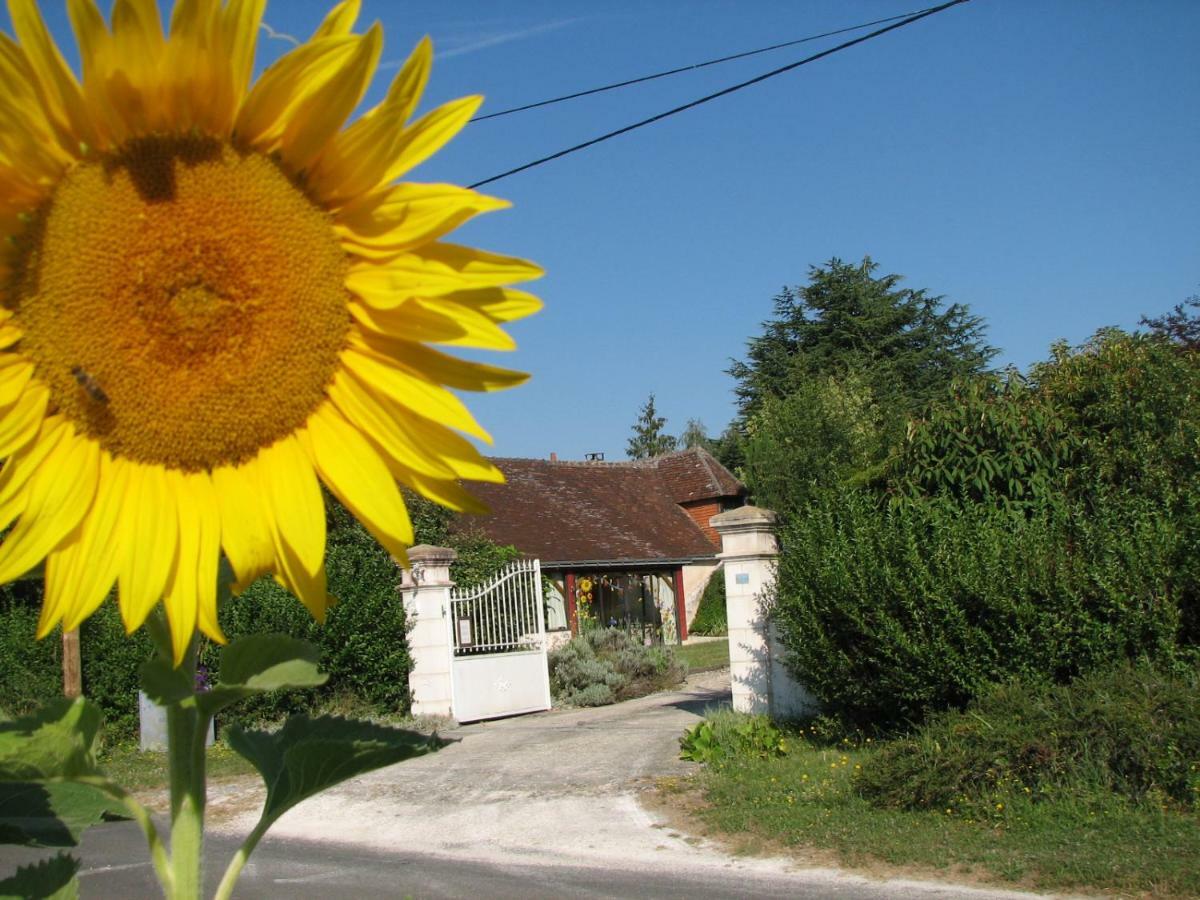 Le Clos Du Petit Marray Chambourg-sur-Indre Exterior photo